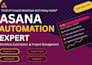 setup asana automation workflow automation asana setup and project management